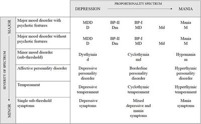 The impact of bipolar spectrum disorders on professional functioning: A systematic review